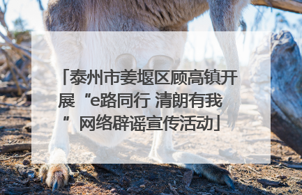 泰州市姜堰区顾高镇开展“e路同行 清朗有我”网络辟谣宣传活动