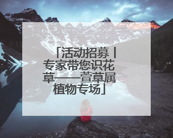 活动招募丨专家带您识花草——萱草属植物专场