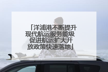 洋浦港不断提升现代航运服务能级 促进航运扩大开放政策快速落地