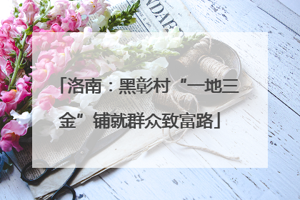洛南：黑彰村“一地三金”铺就群众致富路