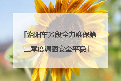 洛阳车务段全力确保第三季度调图安全平稳