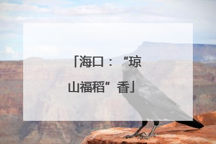 海口：“琼山福稻”香