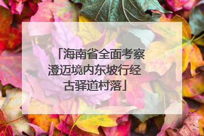 海南省全面考察澄迈境内东坡行经古驿道村落