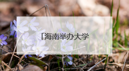 海南举办大学生“就业引航”示范宣讲会
