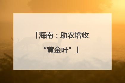 海南：助农增收 “黄金叶”