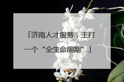 济南人才服务，主打一个“全生命周期”