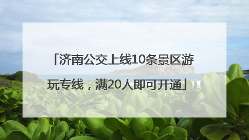 济南公交上线10条景区游玩专线，满20人即可开通