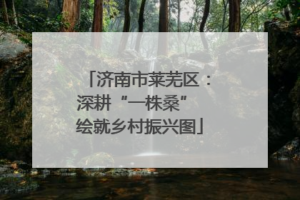 济南市莱芜区：深耕“一株桑” 绘就乡村振兴图