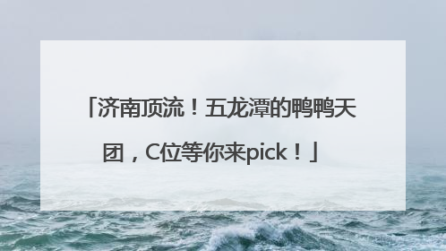 济南顶流！五龙潭的鸭鸭天团，C位等你来pick！