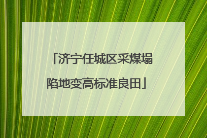 济宁任城区采煤塌陷地变高标准良田
