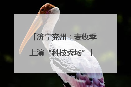 济宁兖州：麦收季上演“科技秀场”