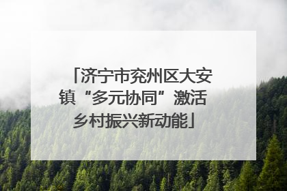 济宁市兖州区大安镇“多元协同”激活乡村振兴新动能