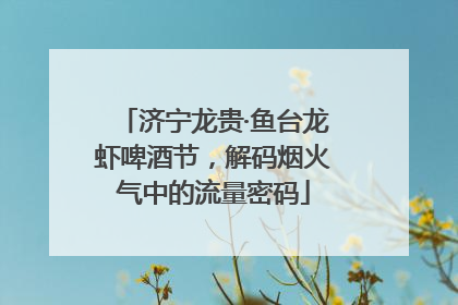 济宁龙贵·鱼台龙虾啤酒节，解码烟火气中的流量密码