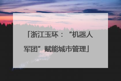浙江玉环：“机器人军团”赋能城市管理