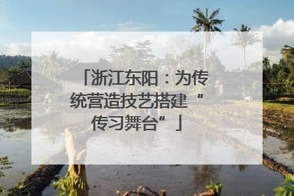 浙江东阳：为传统营造技艺搭建“传习舞台”