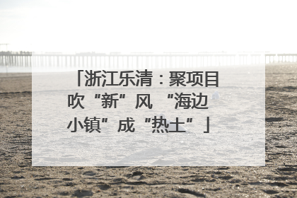 浙江乐清：聚项目吹“新”风 “海边小镇”成“热土”