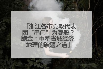 浙江各市党政代表团“串门”为哪般？鲍金：重塑省域经济地理的破题之道