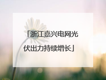 浙江嘉兴电网光伏出力持续增长