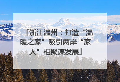 浙江温州：打造“温暖之家”吸引两岸“家人”相聚谋发展