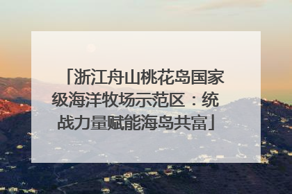 浙江舟山桃花岛国家级海洋牧场示范区：统战力量赋能海岛共富