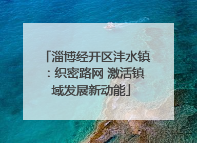 淄博经开区沣水镇：织密路网 激活镇域发展新动能