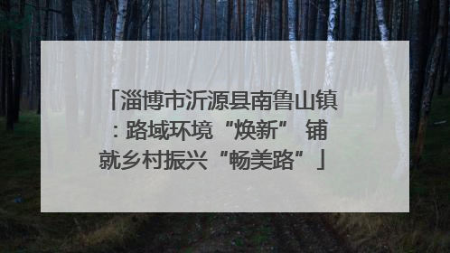 淄博市沂源县南鲁山镇：路域环境“焕新” 铺就乡村振兴“畅美路”
