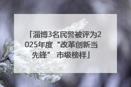 淄博3名民警被评为2025年度“改革创新当先锋” 市级榜样