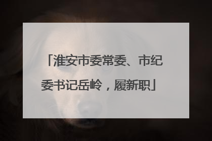淮安市委常委、市纪委书记岳岭，履新职