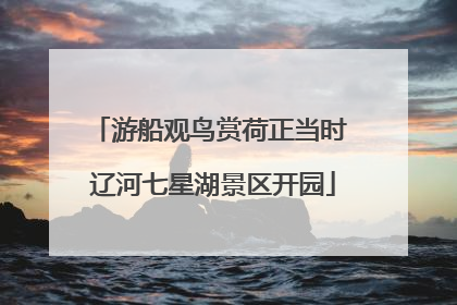 游船观鸟赏荷正当时 辽河七星湖景区开园