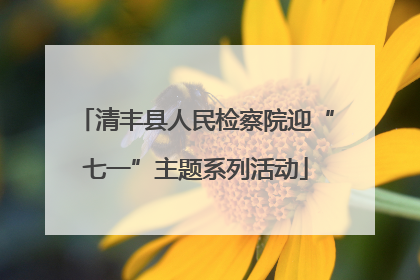 清丰县人民检察院迎“七一”主题系列活动