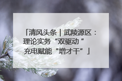 清风头条｜武陵源区：理论实务“双驱动 ” 充电赋能“增才干”