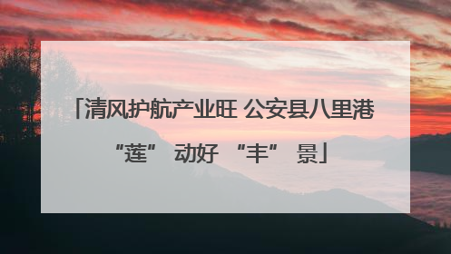 清风护航产业旺 公安县八里港 “莲” 动好 “丰” 景
