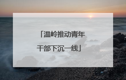 温岭推动青年干部下沉一线