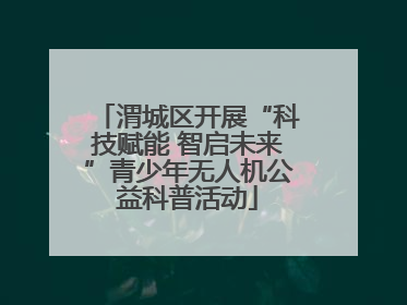 渭城区开展“科技赋能 智启未来”青少年无人机公益科普活动