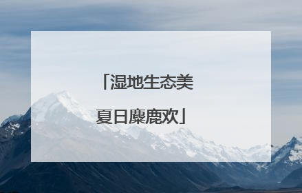 湿地生态美 夏日麋鹿欢