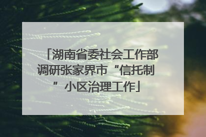 湖南省委社会工作部调研张家界市“信托制”小区治理工作