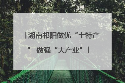 湖南祁阳做优“土特产” 做强“大产业”