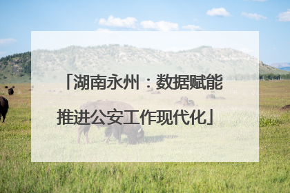 湖南永州：数据赋能推进公安工作现代化