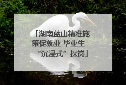湖南蓝山精准施策促就业 毕业生“沉浸式”探岗