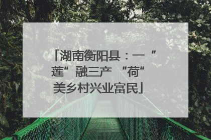 湖南衡阳县：一“莲”融三产 “荷”美乡村兴业富民