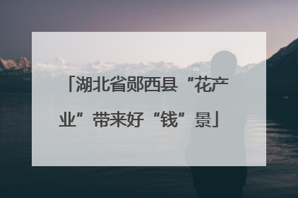 湖北省郧西县“花产业”带来好“钱”景