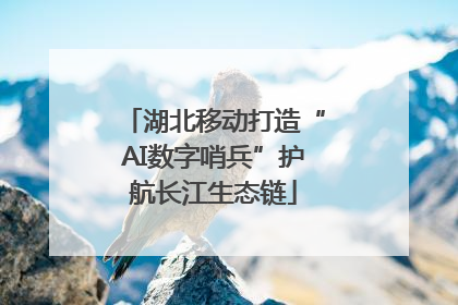 湖北移动打造“AI数字哨兵”护航长江生态链