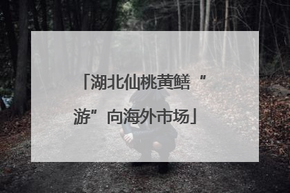 湖北仙桃黄鳝“游”向海外市场