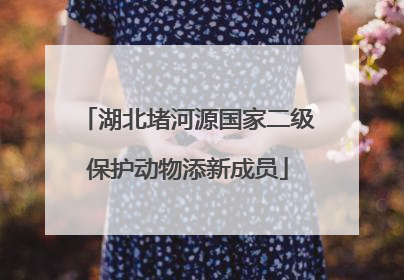 湖北堵河源国家二级保护动物添新成员