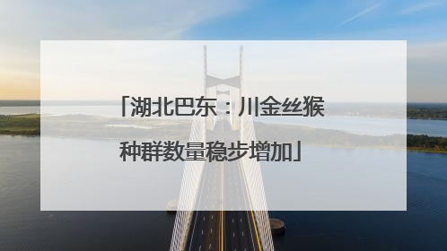 湖北巴东：川金丝猴种群数量稳步增加