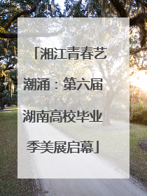 湘江青春艺潮涌：第六届湖南高校毕业季美展启幕