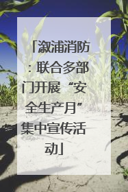 溆浦消防：联合多部门开展“安全生产月”集中宣传活动