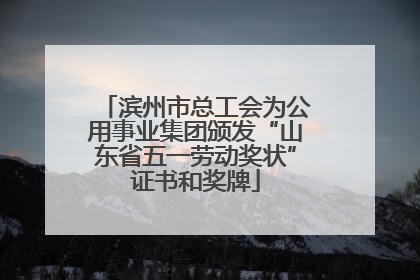 滨州市总工会为公用事业集团颁发“山东省五一劳动奖状”证书和奖牌