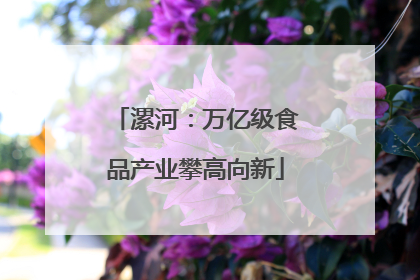 漯河：万亿级食品产业攀高向新