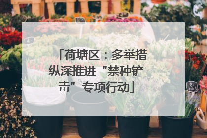 荷塘区：多举措纵深推进“禁种铲毒”专项行动